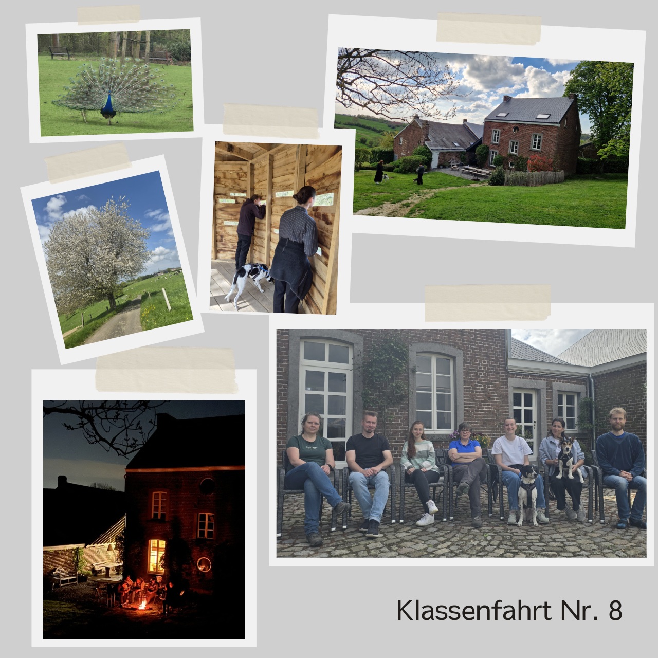 Klassenfahrt 8