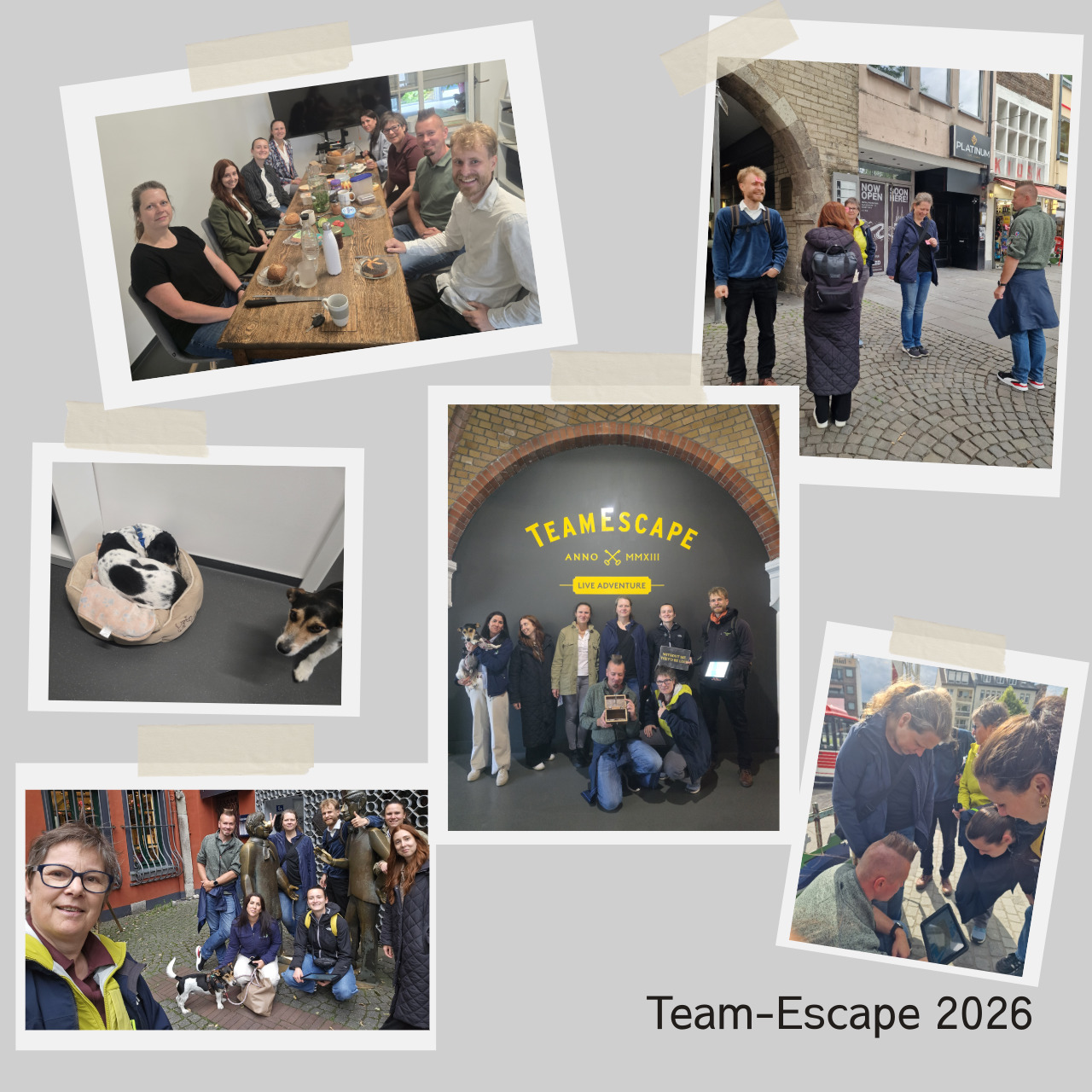 Team-Escape